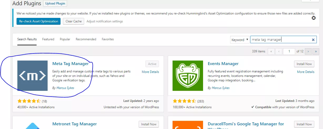 How to add meta tags in wordpress home page