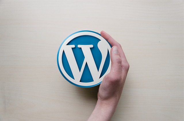 search wordpress blogs