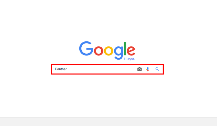 Google image Search bar