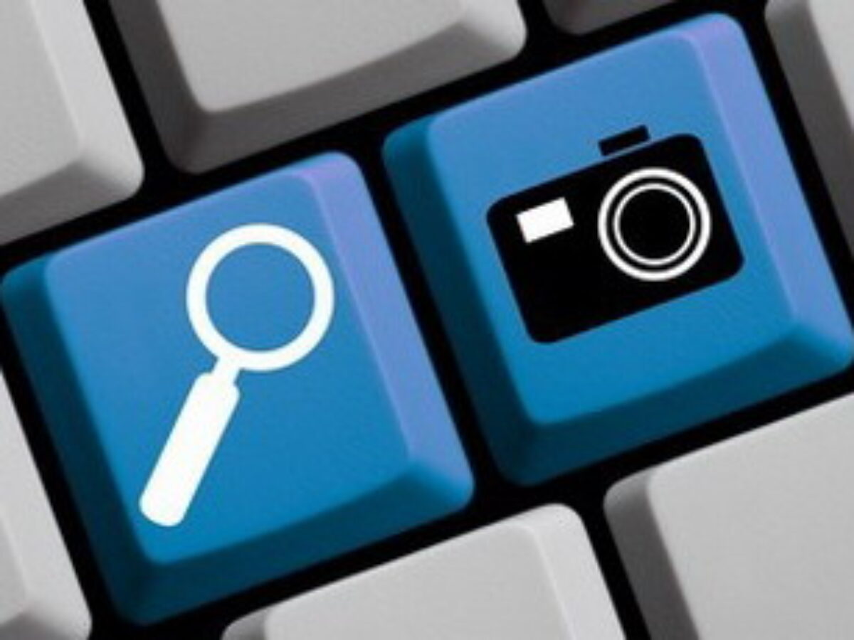 Google Image Search Used On Catfish Incredible Prices coe.sdmbnys.in