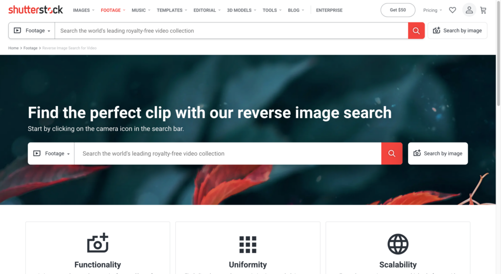 Shutterstock reverse image search