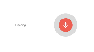 google voice search icon missing