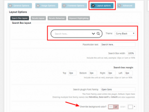 Custom Search Box