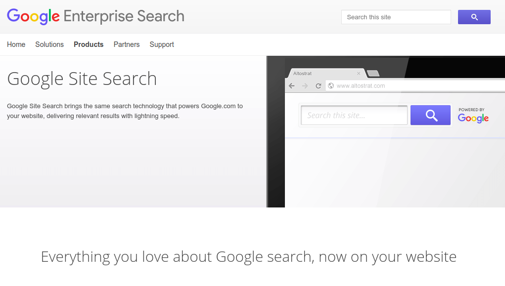 google search website