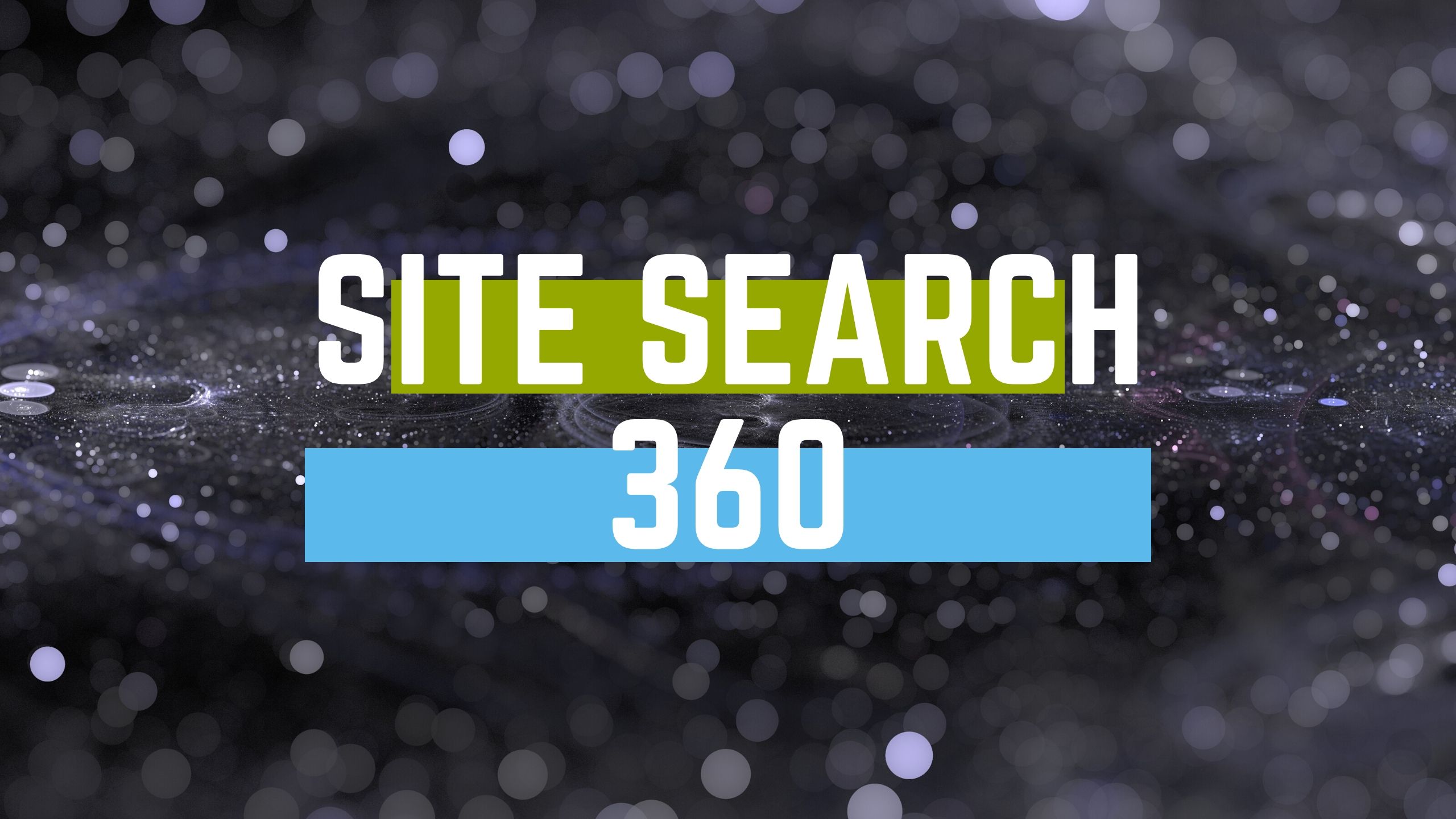 Site search 360