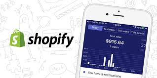 Shopify App Voice Search