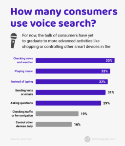 consumer voice search statistics