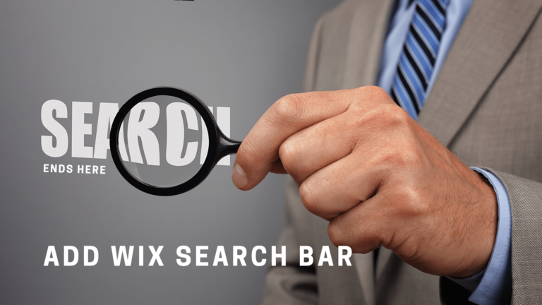 Mini guide on how to add wix search bar in wix site