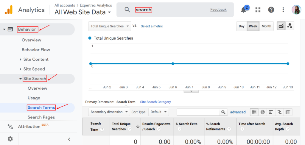 Google Analytics showing on-site search terms