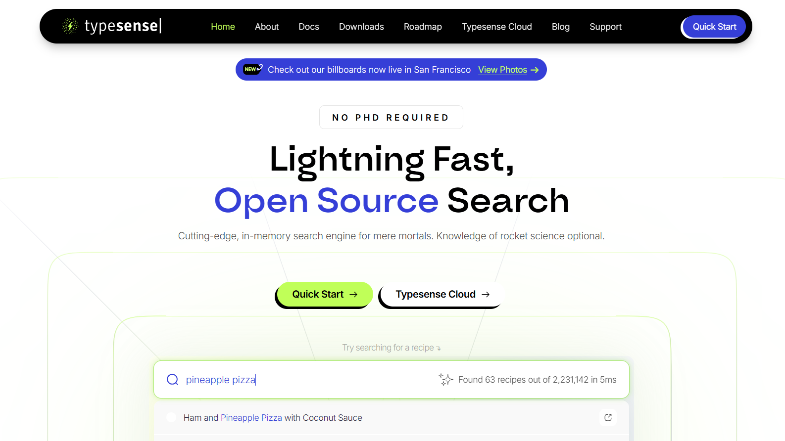 Algolia Alternative