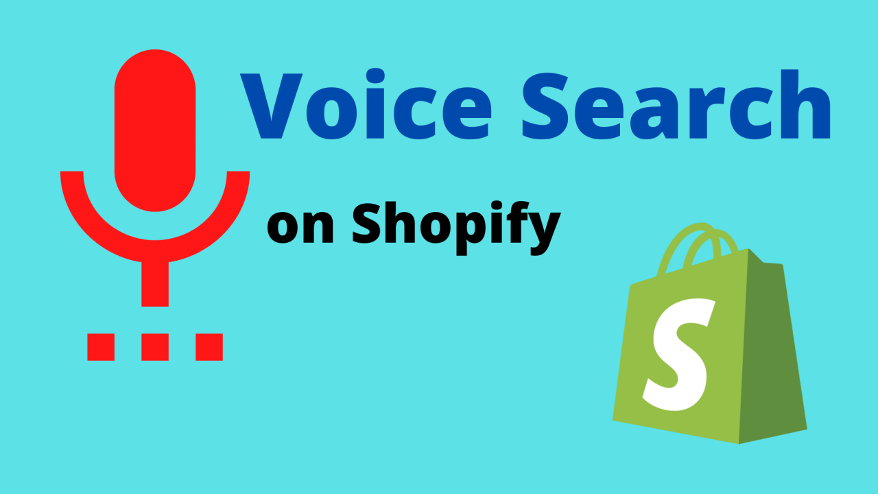 How to add voice search to shopify website