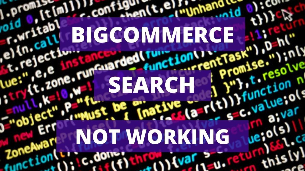 Bigcommerce Search not Working
