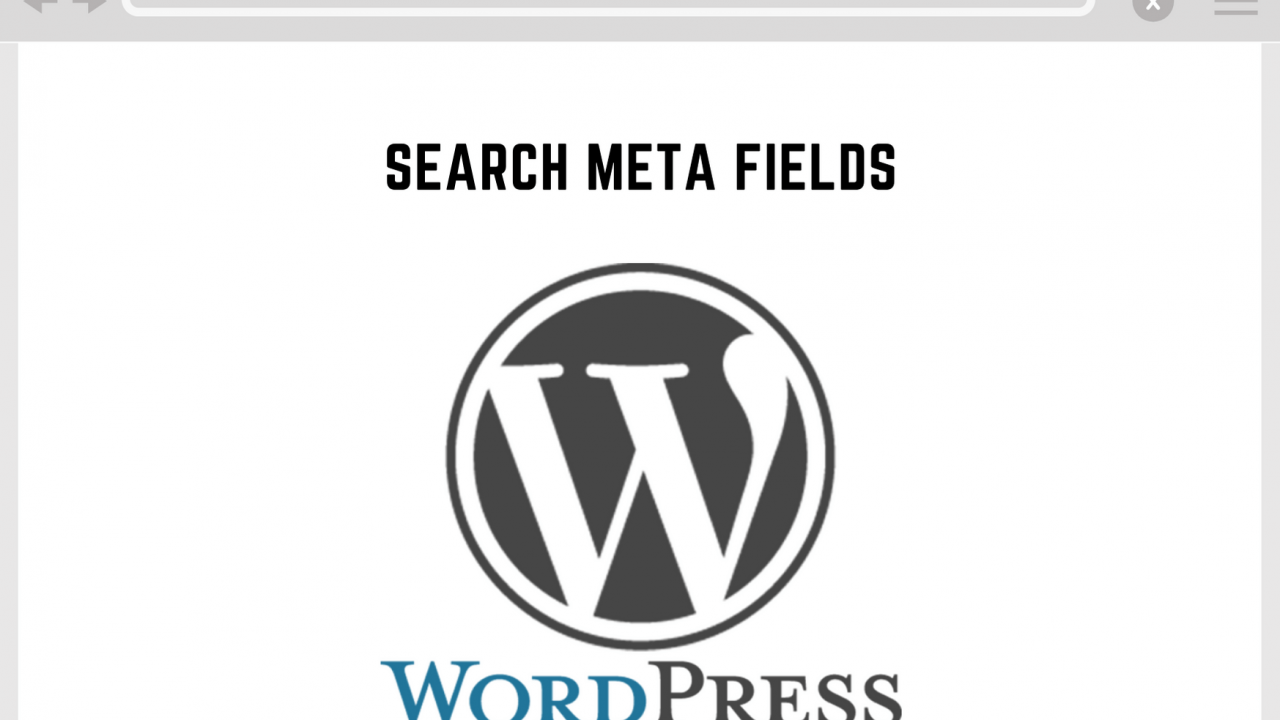 Wordpress Search Meta Fields