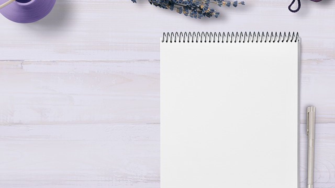 blog site search